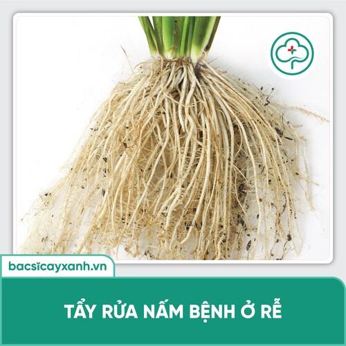 Chế phẩm Nano Chitosan Tẩy rửa nấm bệnh ở bộ rễ, ngừa tuyến trùng, tăng đề kháng cây BS12 500ml NSX Bacsicayxanh