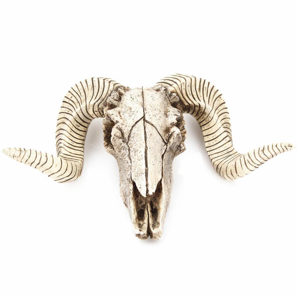 Resin  Art Wall Decor Mount Decoration Skull Sheep's head Head