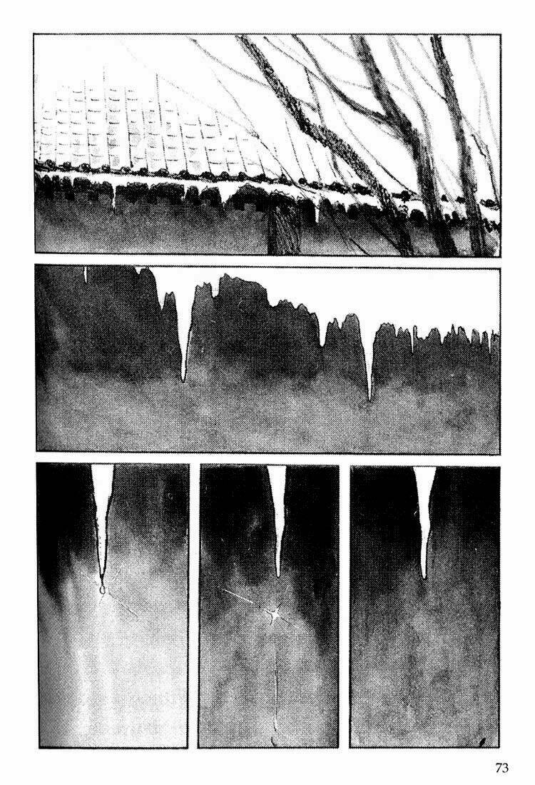 lone wolf and cub chapter 113 6