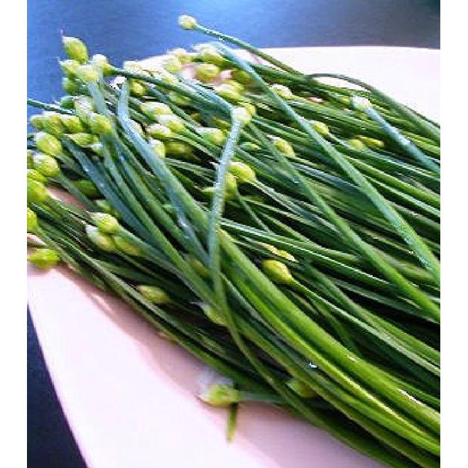 Hạt giống rau hẹ ăn bông cao sản KNS3236 - Gói 2gram