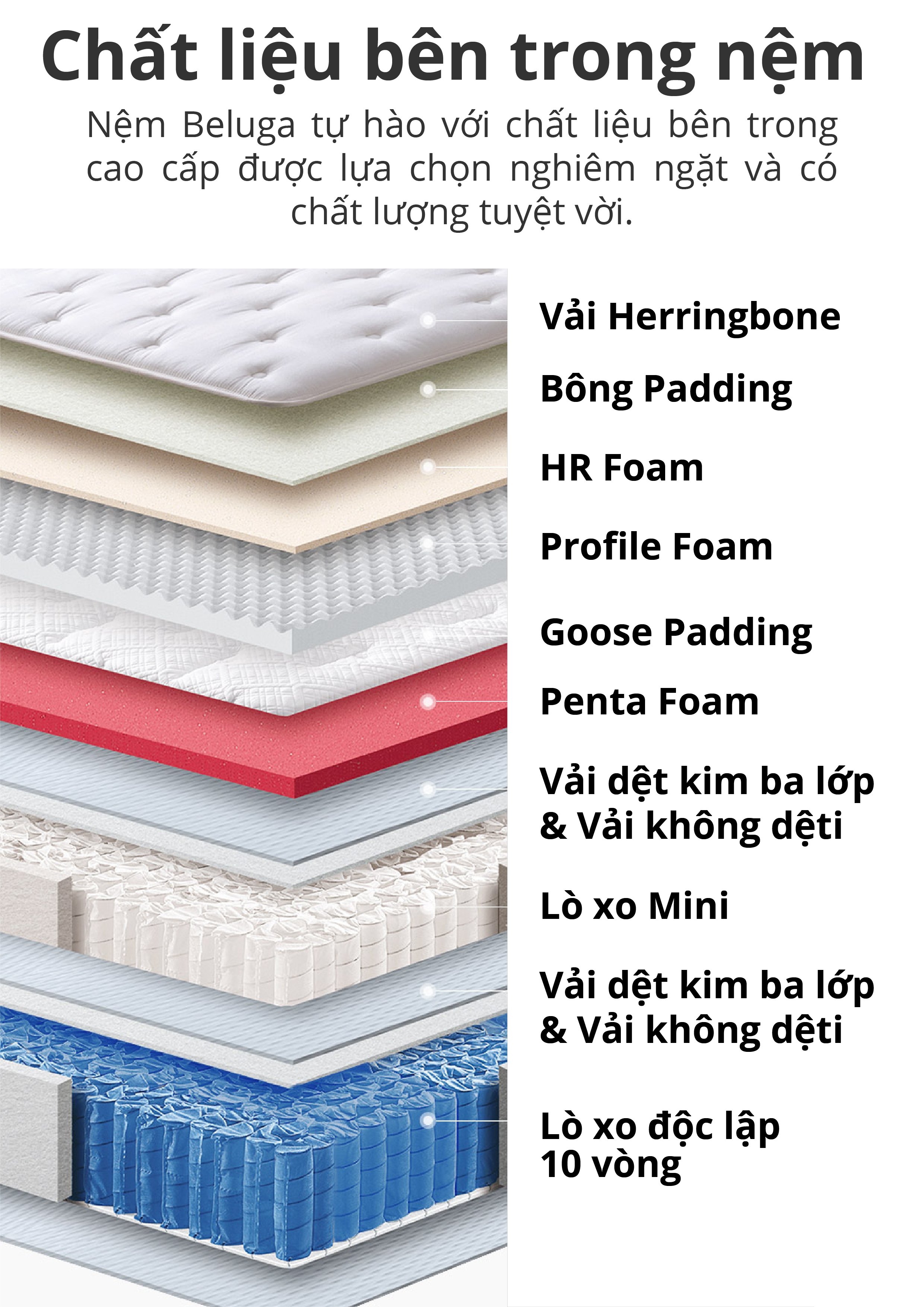 NỆM LÒ XO BEDIS BELUGA