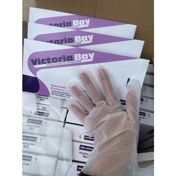 Găng Tay Victoria Bay Silicon Hộp 100 Chiếc H164- A