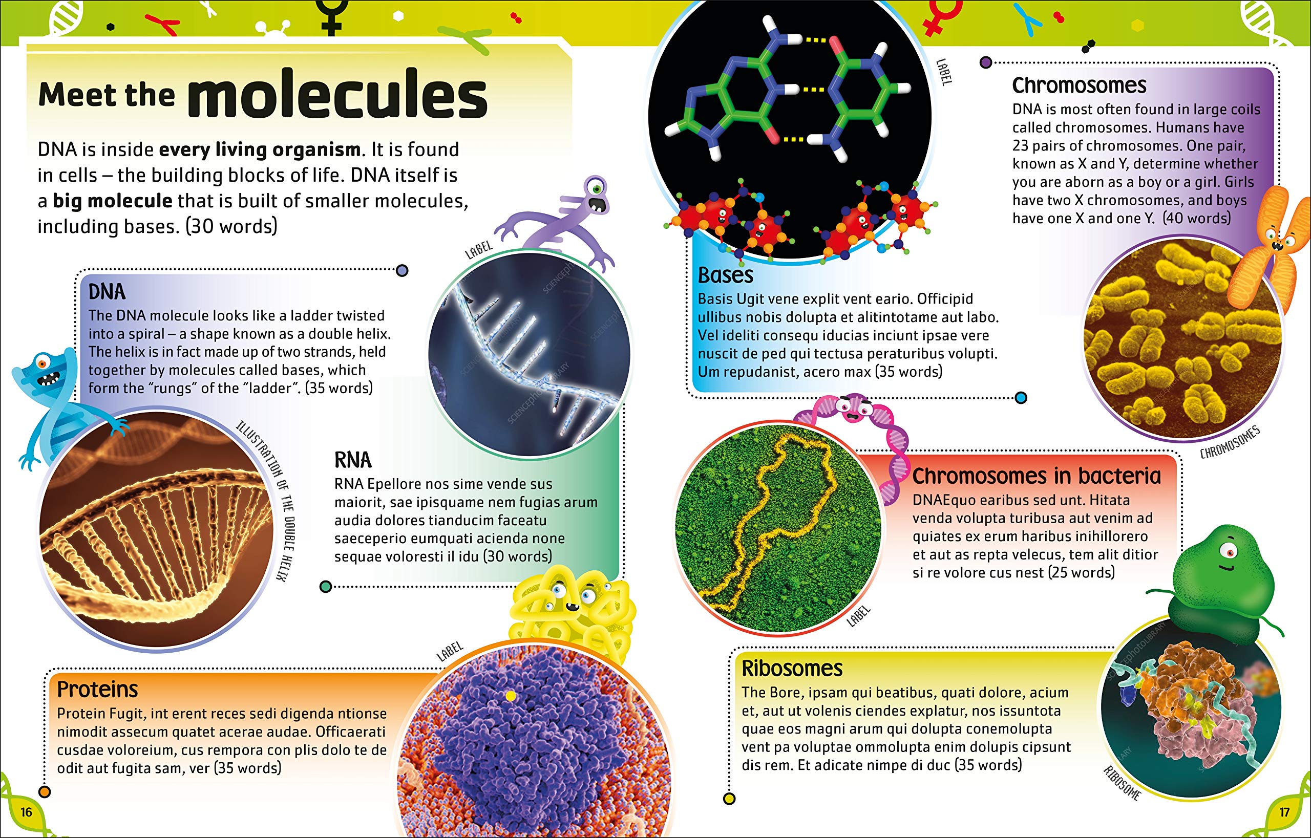 The Dna Book: Discover What Makes You You