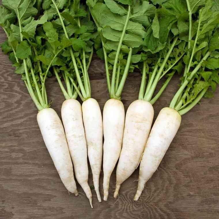 Gói 20g Hạt giống củ cải trắng F1 cao sản