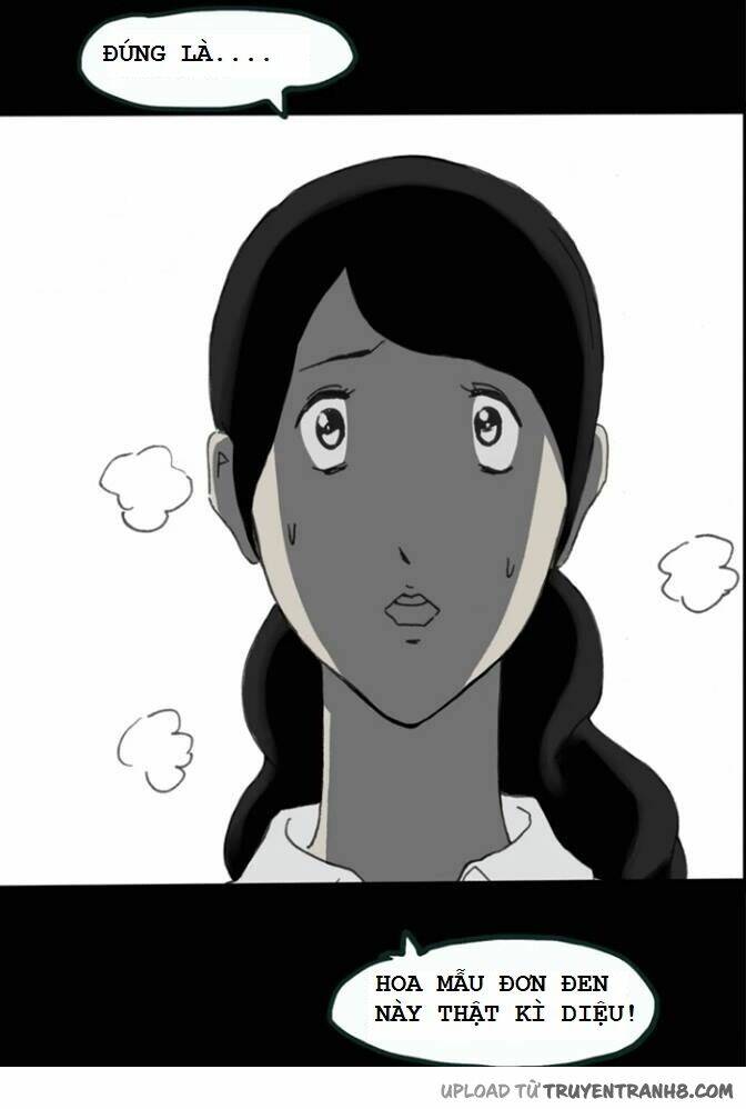 hoa mẫu đơn đen chapter 4 22