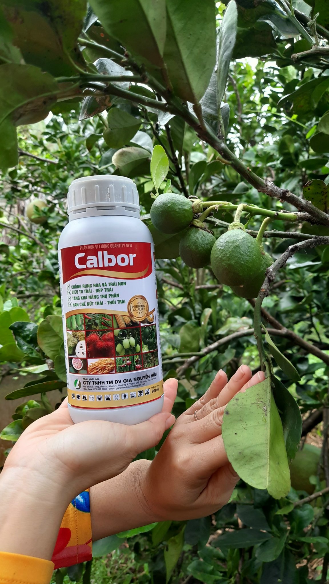 CANXI BO - hạn chế nứt trái, dưỡng trái