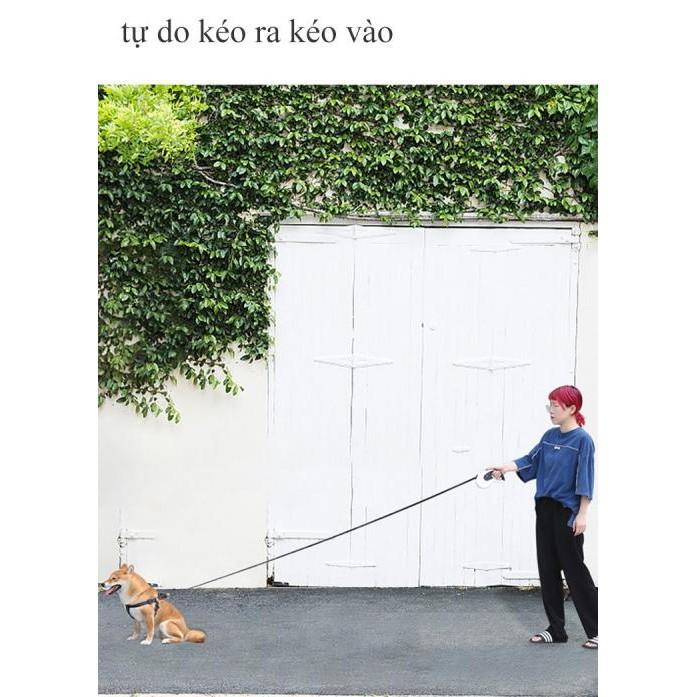 Dây dắt thú cưng tự động KimPets Hàn Quốc (Trắng 5m) - Home and Garden
