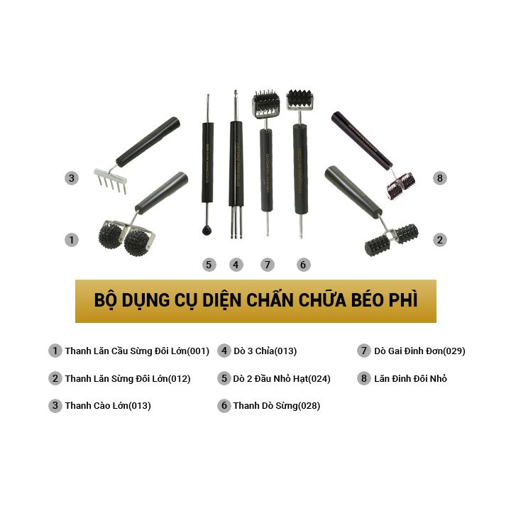 Bộ dụng cụ diện chẩn chữa béo phì (8 món) (Bộ)