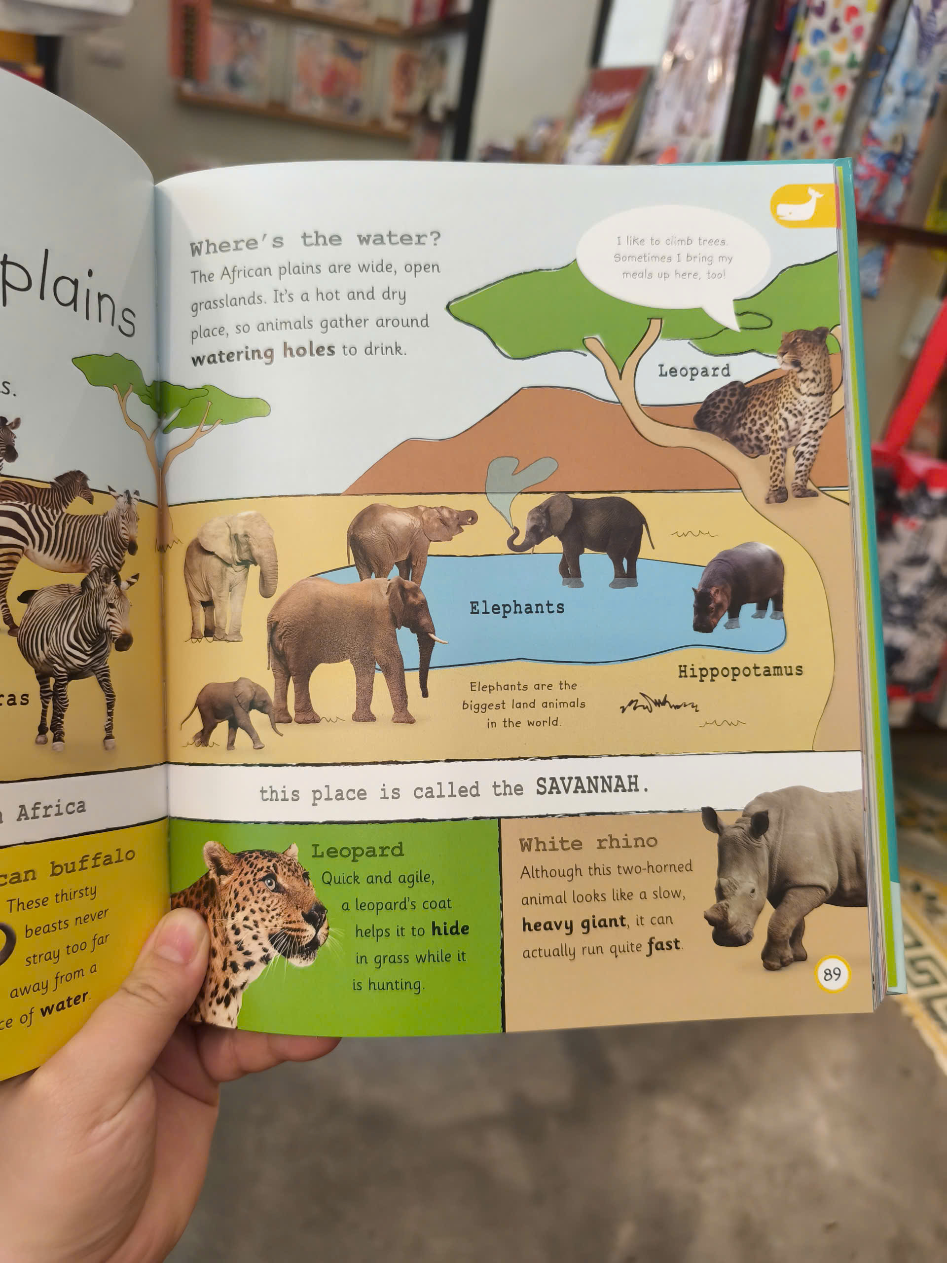 Sách - My Encyclopedia of Very Important Things | Childrens Book / Ngoại văn Thiếu nhi Bìa cứng