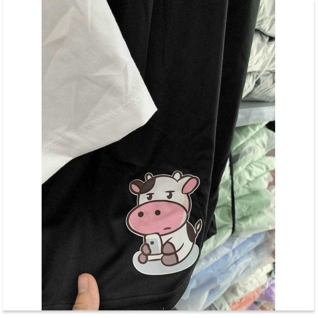 SET BỘ THUN COTTON NỮ XINH XẮN