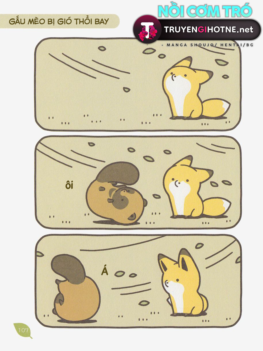 cáo và gấu mèo chapter 8 17