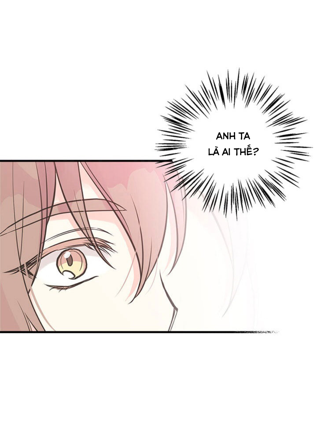 chị tôi đã nhặt về một nam chính quyến rũ chapter 28 2