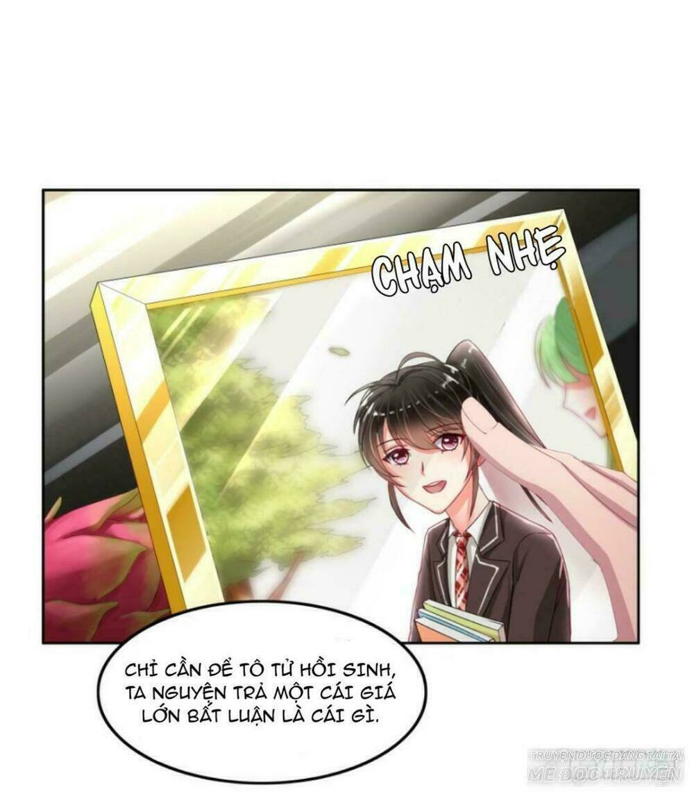 mộ thiếu, lão bà ngươi trọng sinh lại rồi! chapter 7 12