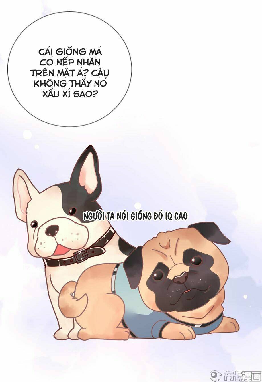 cô gái đặc biệt nhất của tôi chapter 33 7