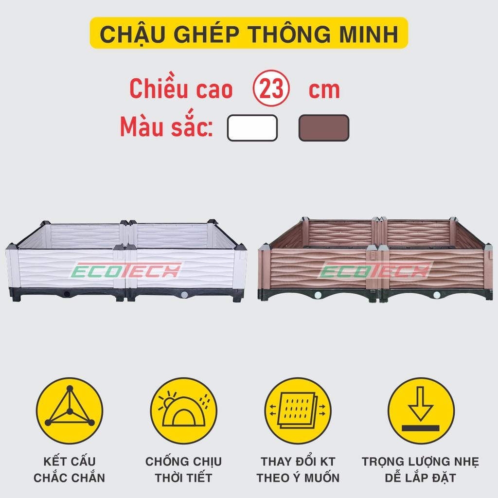 Chậu trồng rau lắp ghép. KT 100x50x23 cm.Đáy thoát nước chống ngập úng.Sang trọng - Thẩm mỹ - Bền hơn 10 năm.Bảo hành 1 năm toàn quốc