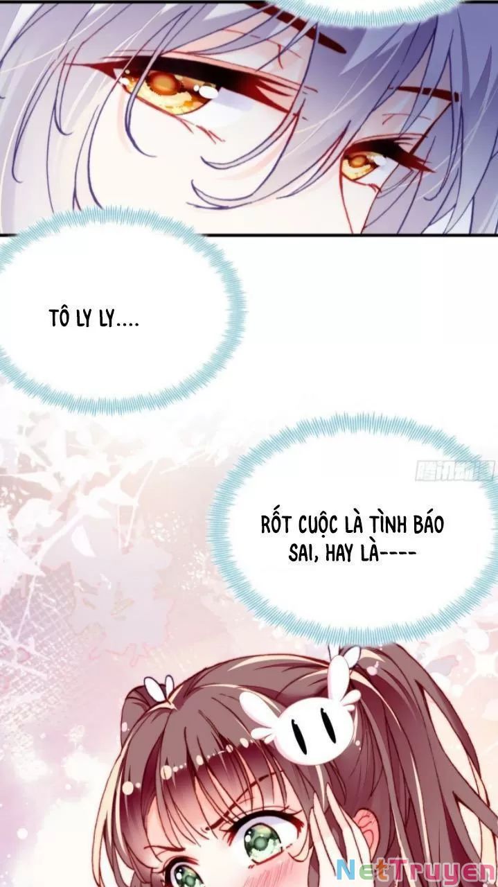 lại bị bệnh chiều chuộng quấn lấy chapter 17 49