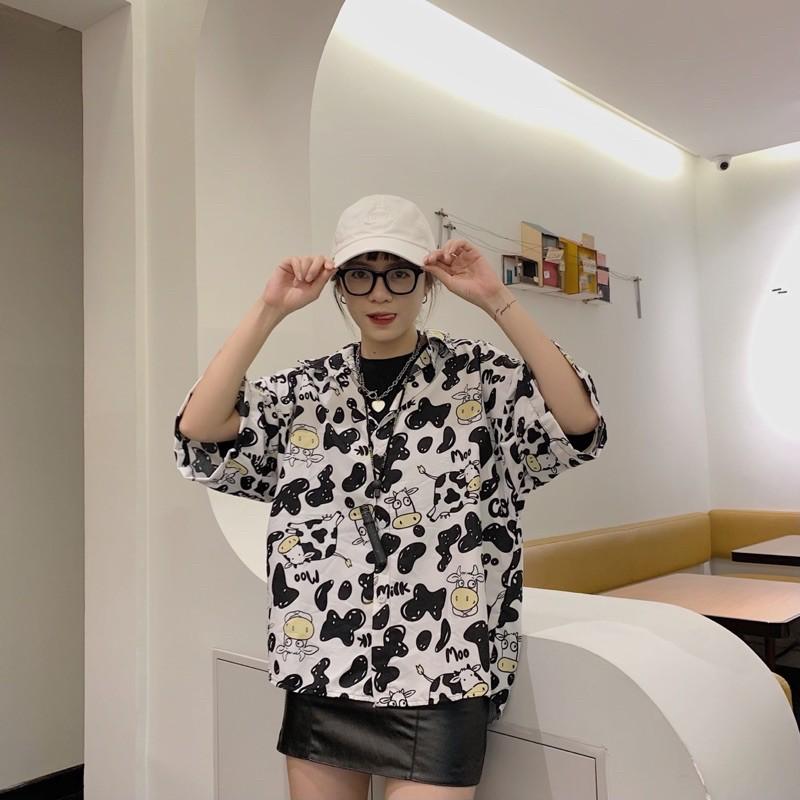 Áo sơ mi con bò sữa