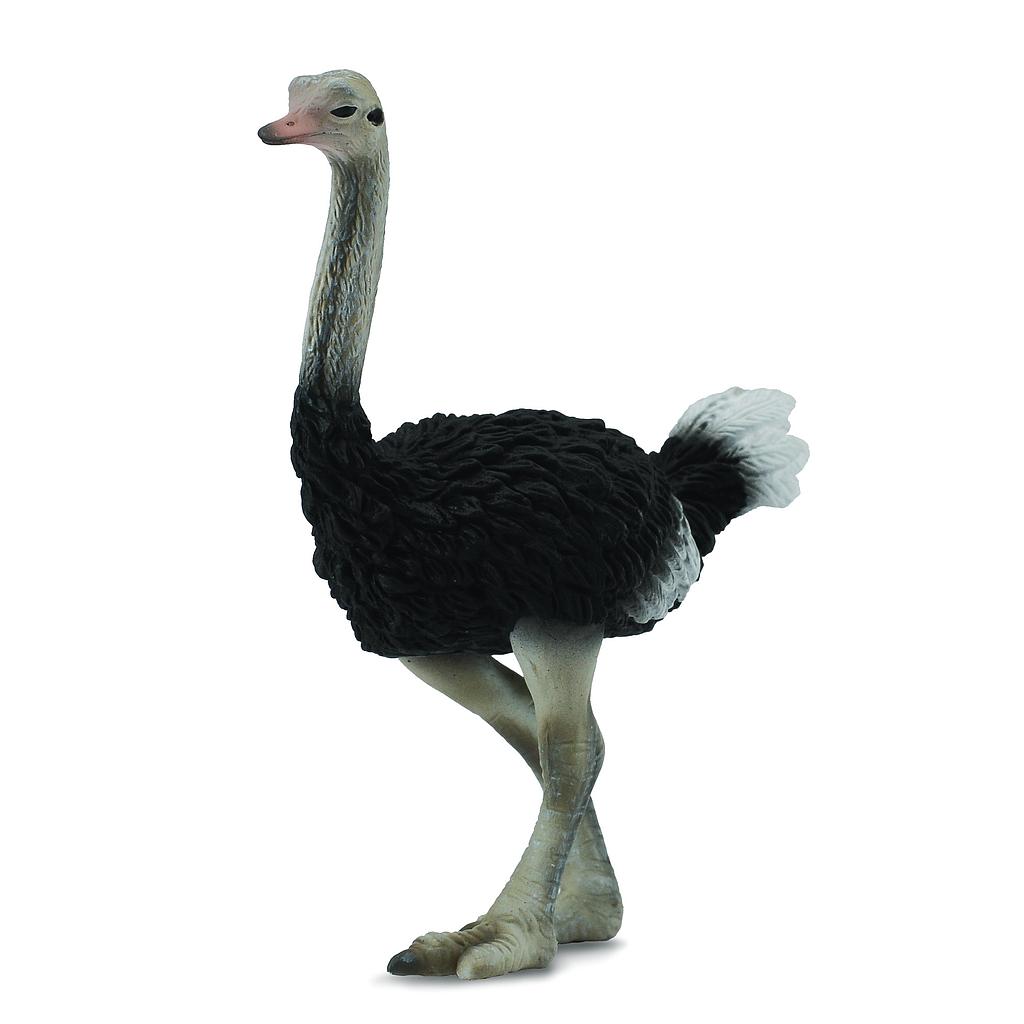 Mô hình thu nhỏ: Đà Điểu - Ostrich, hiệu: CollectA, mã HS 9651150 - Chất liệu an toàn cho trẻ - Hàng chính hãng