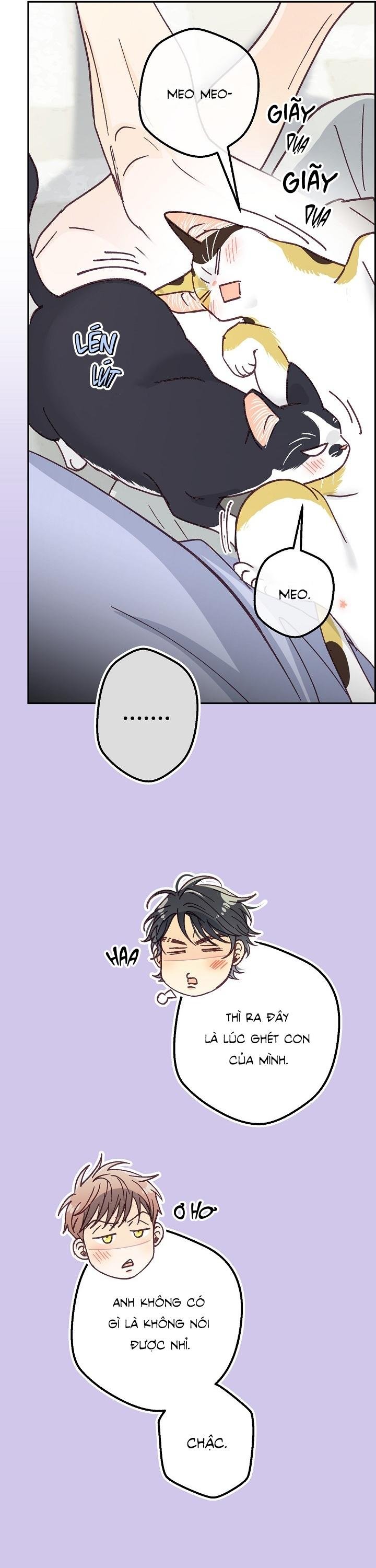 bạn trai vô song của tôi Chapter 37 NT5 39