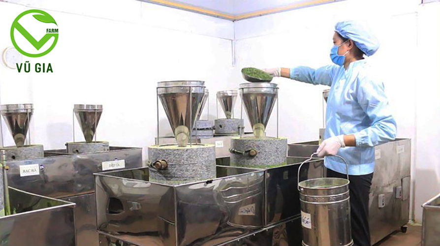 Bột Bạc Hà Sấy Lạnh Nguyên Chất Vũ Gia - Hỗ trợ mụn ở mặt và cả lưng, giảm sưng do mụn, trắng da, tẩy tế bào chết, giảm nhờn, se khít lỗ chân lông