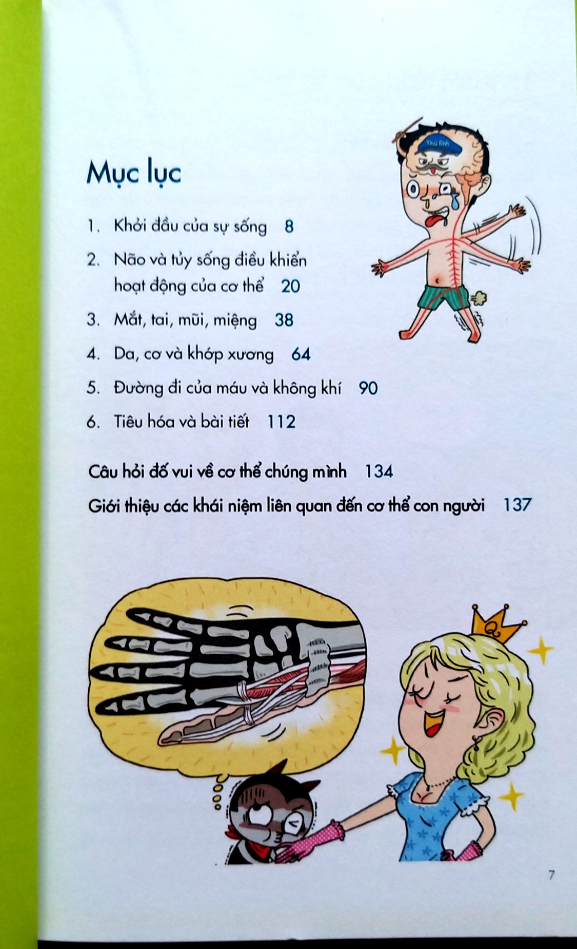 Thế Giới Khổng Lồ Trong Cơ Thể Con Người