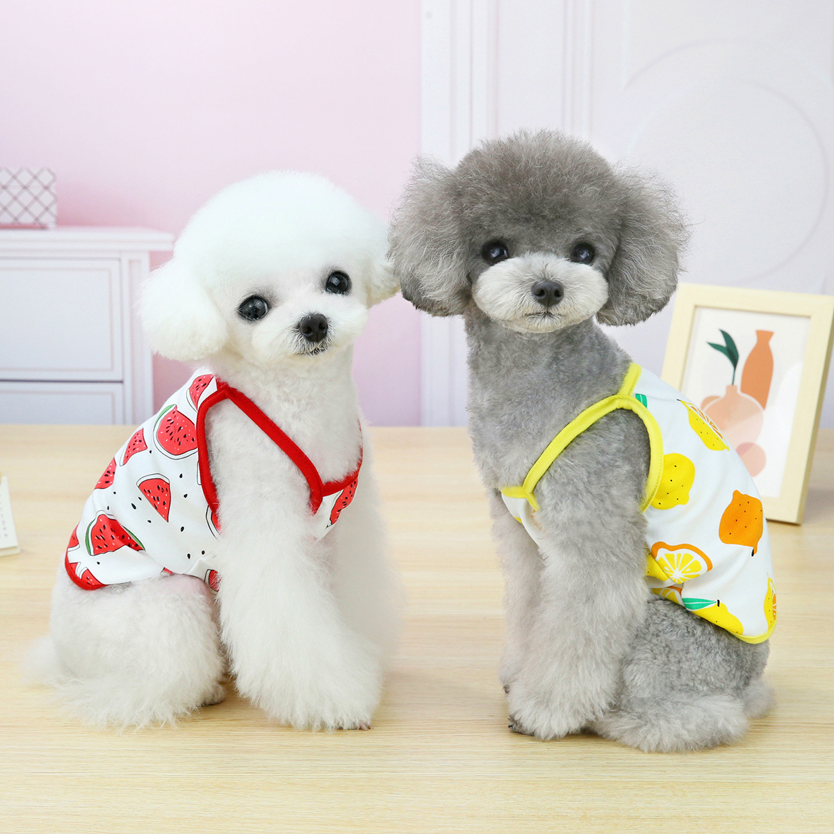 Áo hai dây ba lỗ thoáng mát cho chó mèo - Genyo pet clothes 085 ( các màu và mẫu giao ngẫu nhiên như trong hình )
