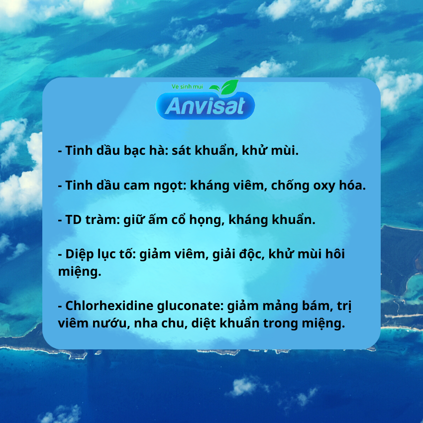 Nước súc miệng ANVICOOL Làm sạch miệng khử mùi hôi miệng góp phần ngăn ngừa sầu răng giúp răng chắc khoẻ - làm dịu khoang miệng khi bị nhiệt miệng Chai 250ml Tâm An Pharma