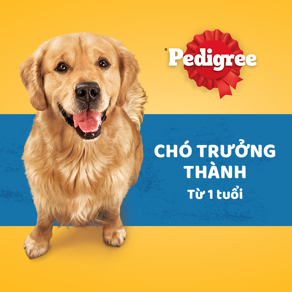 PEDIGREE Thức ăn cho chó lớn dạng hạt vị bò và rau củ 10kg (1 túi)