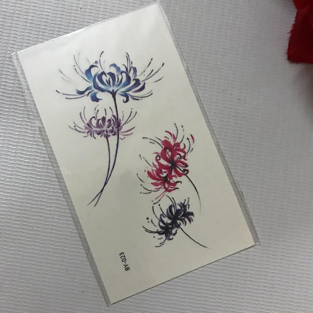 Combo 6 tấm cành hoa bỉ ngạn 10x6cm