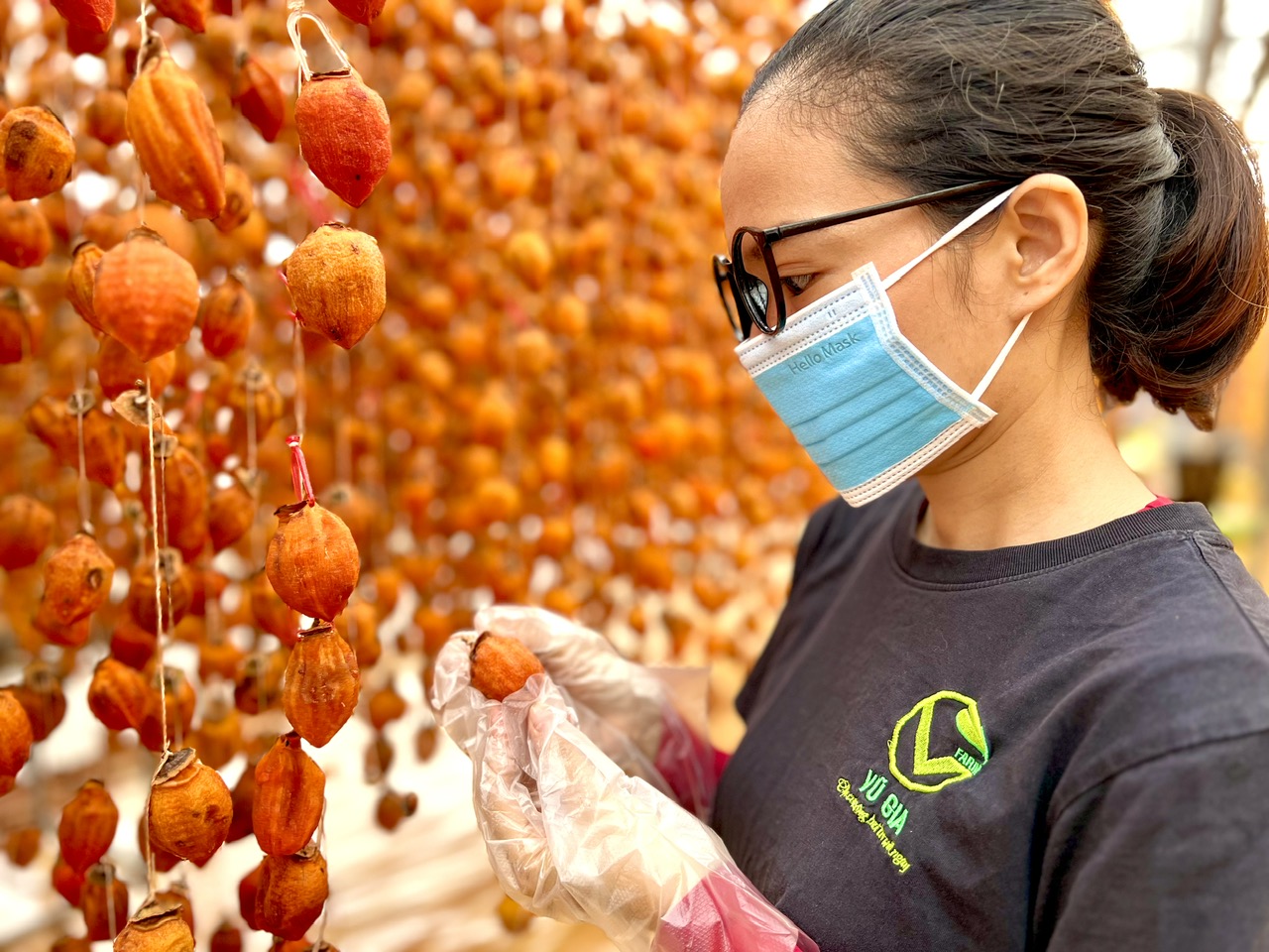 Hồng Treo Gió Đà Lạt - Treo gió tự nhiên, mật béo dẻo thơm ngon, đặc sản mùa thu Đà Lạt