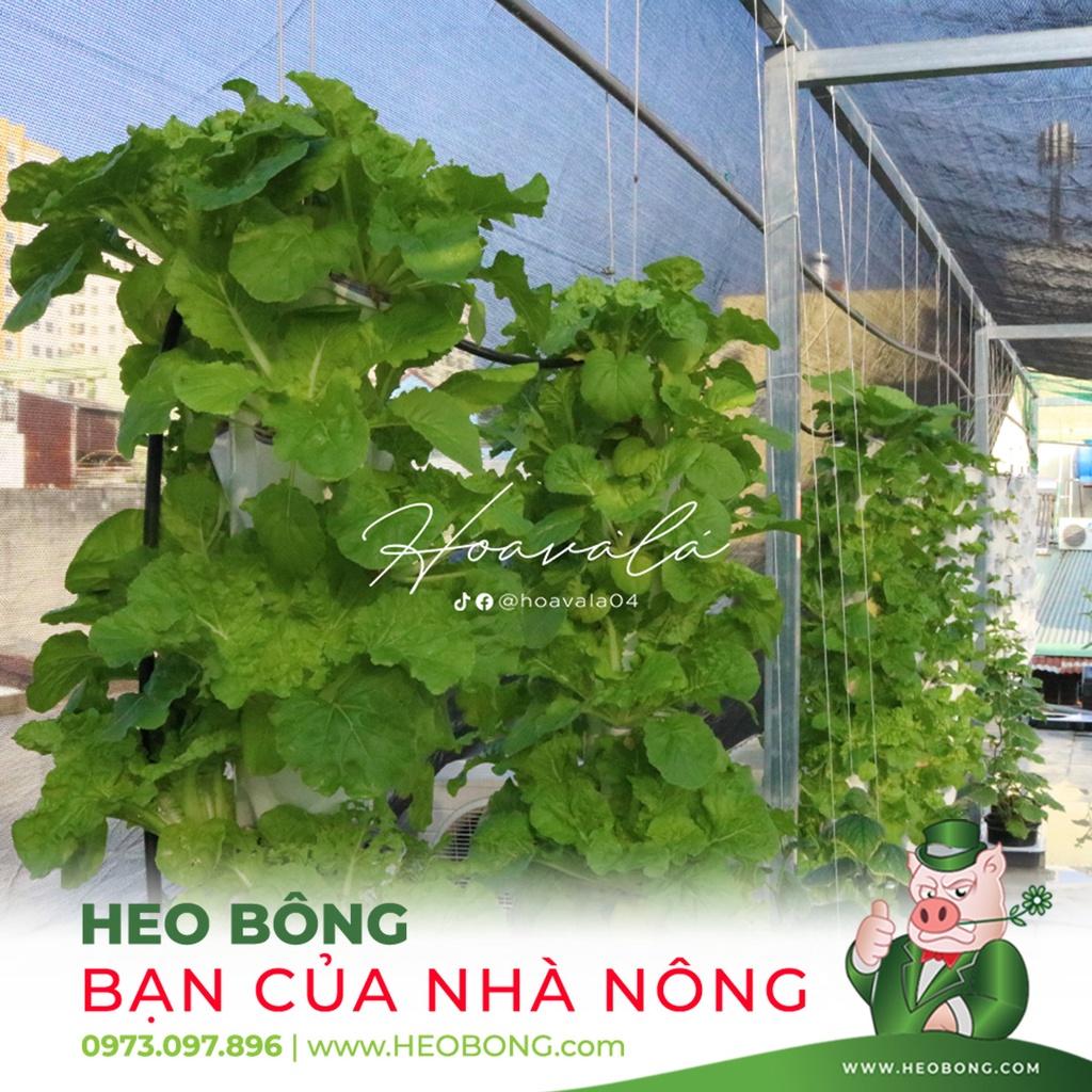 Dinh dưỡng trồng thủy canh Rau Ăn Lá Hydroumat V - 500ml/Chai