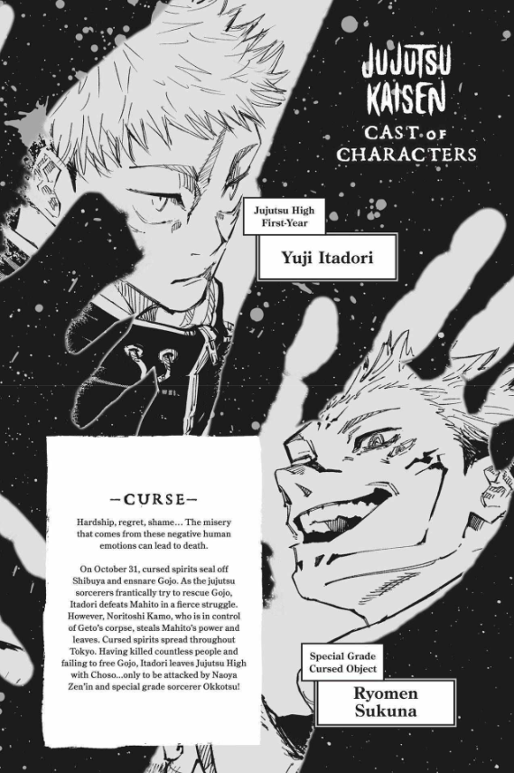 Jujutsu Kaisen 17 (English Edition)