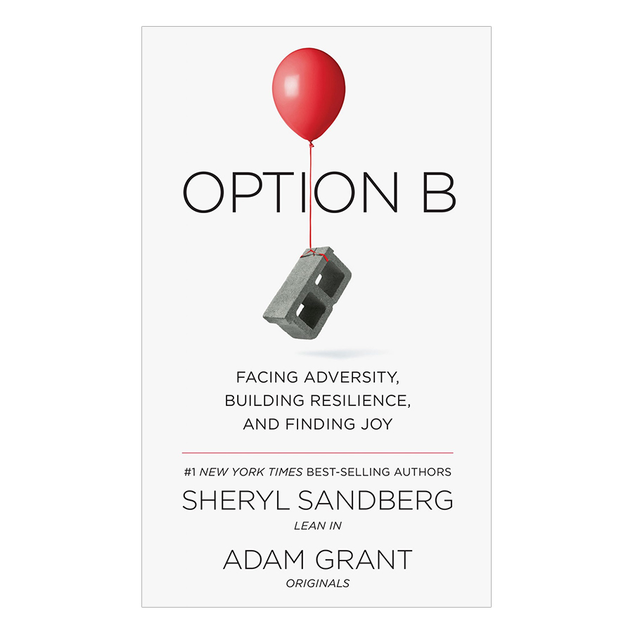 Option B: Facing Adversity, Building Resilience, And Finding Joy