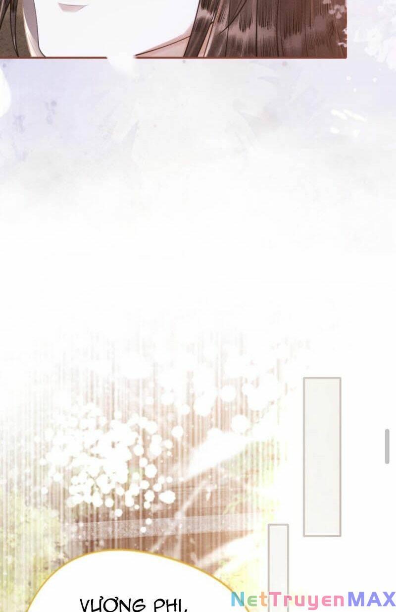 báo cáo nhiếp chính vương, đại lão nàng ấy chuyên trị bệnh liệt dương chapter 25 17