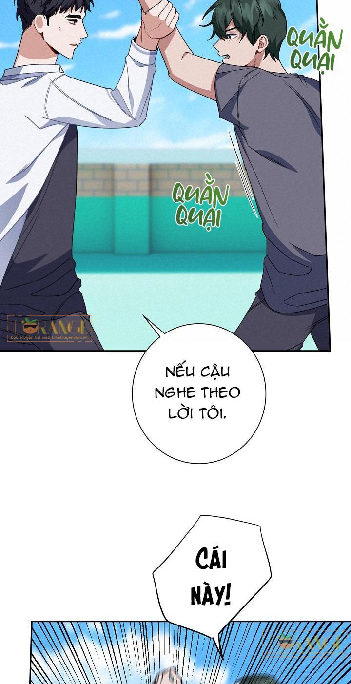 vùng đặc quyền tình yêu chapter 10 60