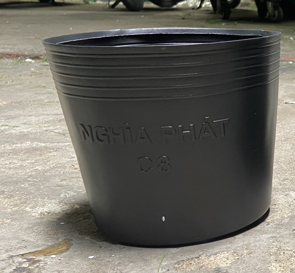 Tấm cỏ nhựa nhân tạo giá rẻ 30x30cm - cỏ nhân tạo trải sàn, cỏ sân vườn, trang trí, decor nhà cửa