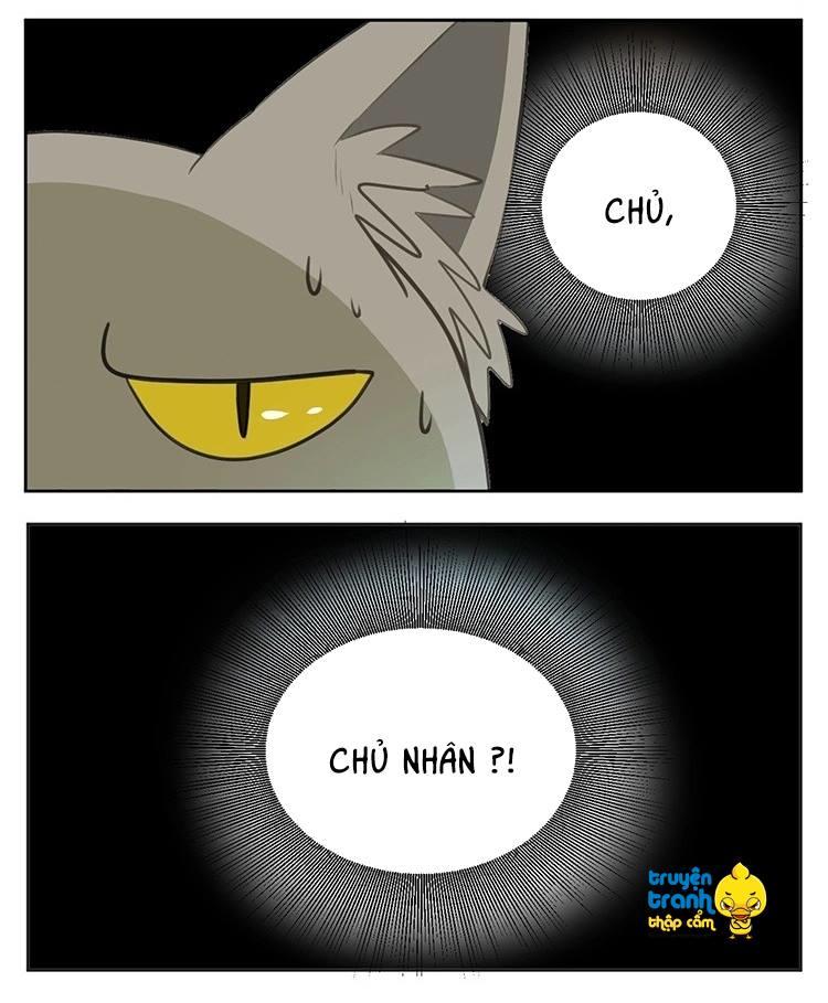 cứu mạng ! loài mèo thống trị thế giới rồi ! chapter 24 16