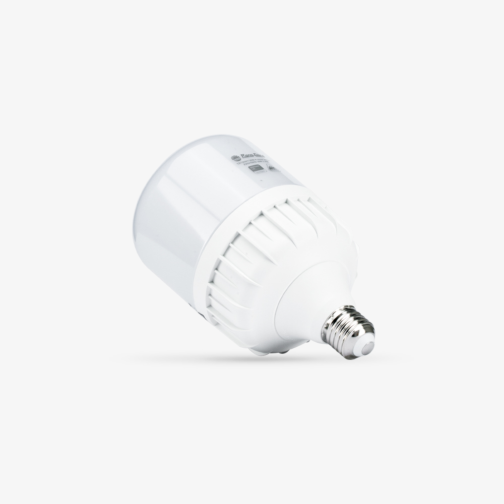 Bóng đèn LED BULB Trụ 30W Rạng Đông Model: TR100N1/30W.H