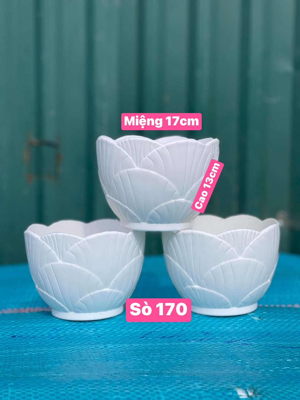 Chậu Nhựa Sò trắng trồng hoa để bàn KT 17 x 13 x 13cm