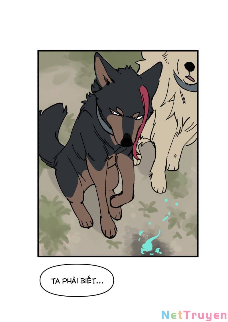 lumine - cội nguồn ánh sáng chapter 150 8