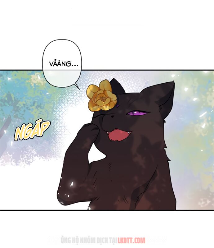 tôi đang nuôi dưỡng một con quái thú chapter 17 16