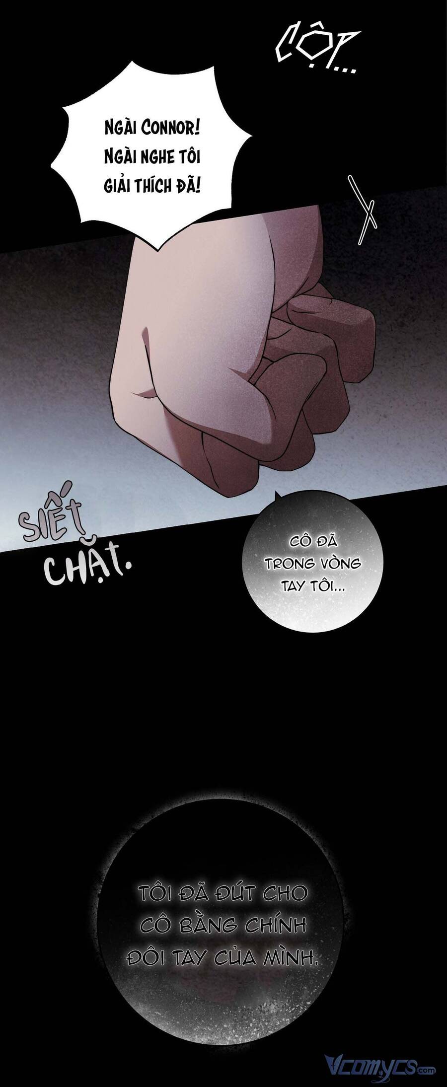 lời nói dối vĩnh cửu của người chapter 19 71