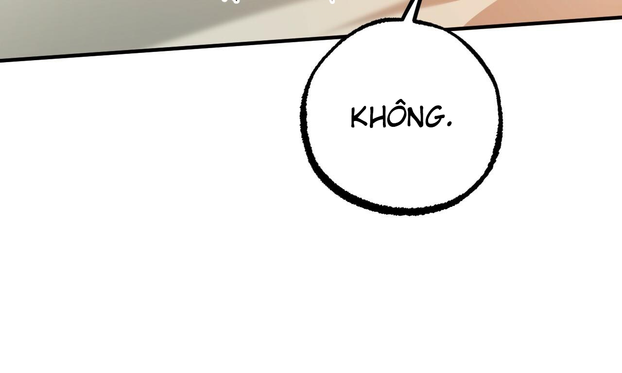 những chú thỏ của hapypy chapter 53 256