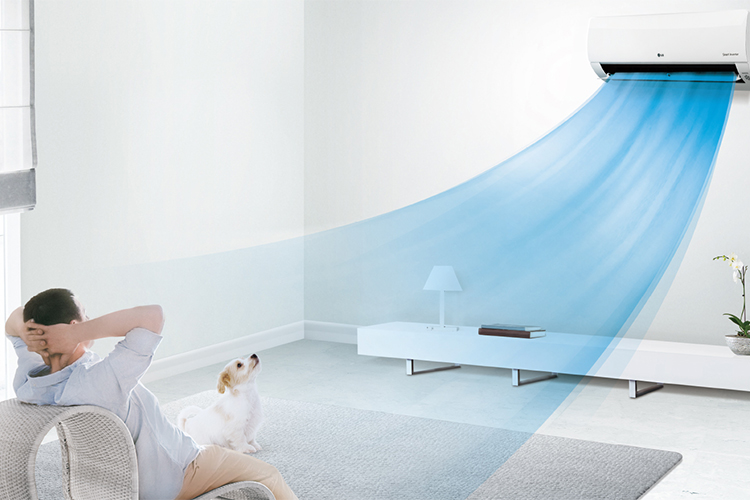 Máy Lạnh LG Inverter 1.5 HP V13APF