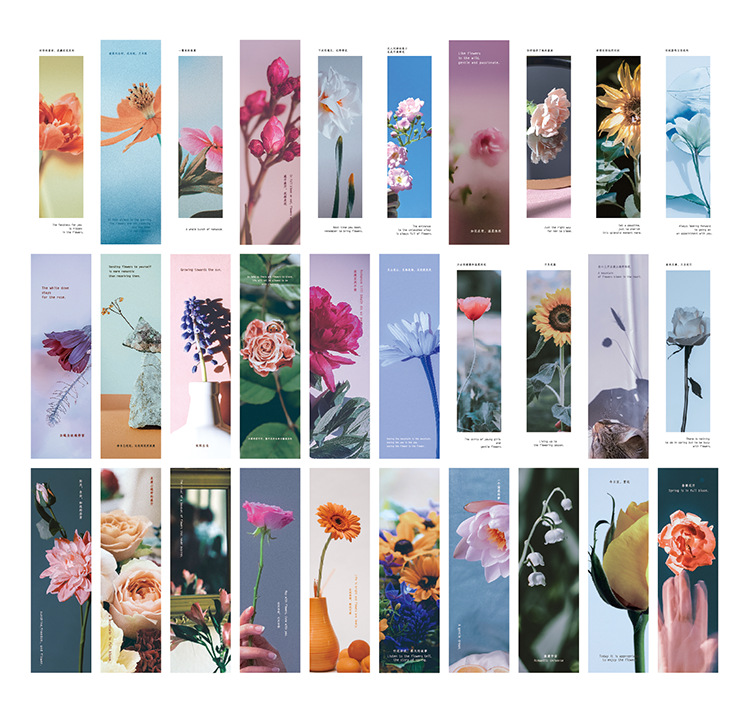 Bộ 30 thẻ đánh dấu sách Vườn hoa M851