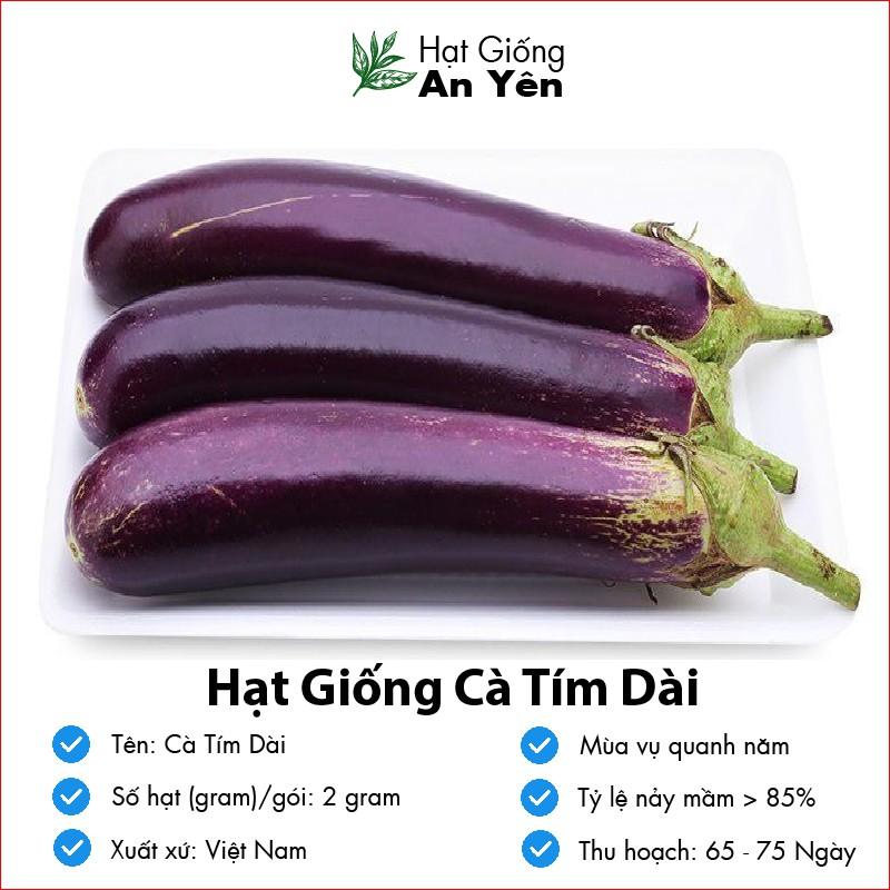 Hạt giống Cà Tím Dài thu hoạch sớm, dễ trồng, nảy mầm cao, sinh trưởng khoẻ
