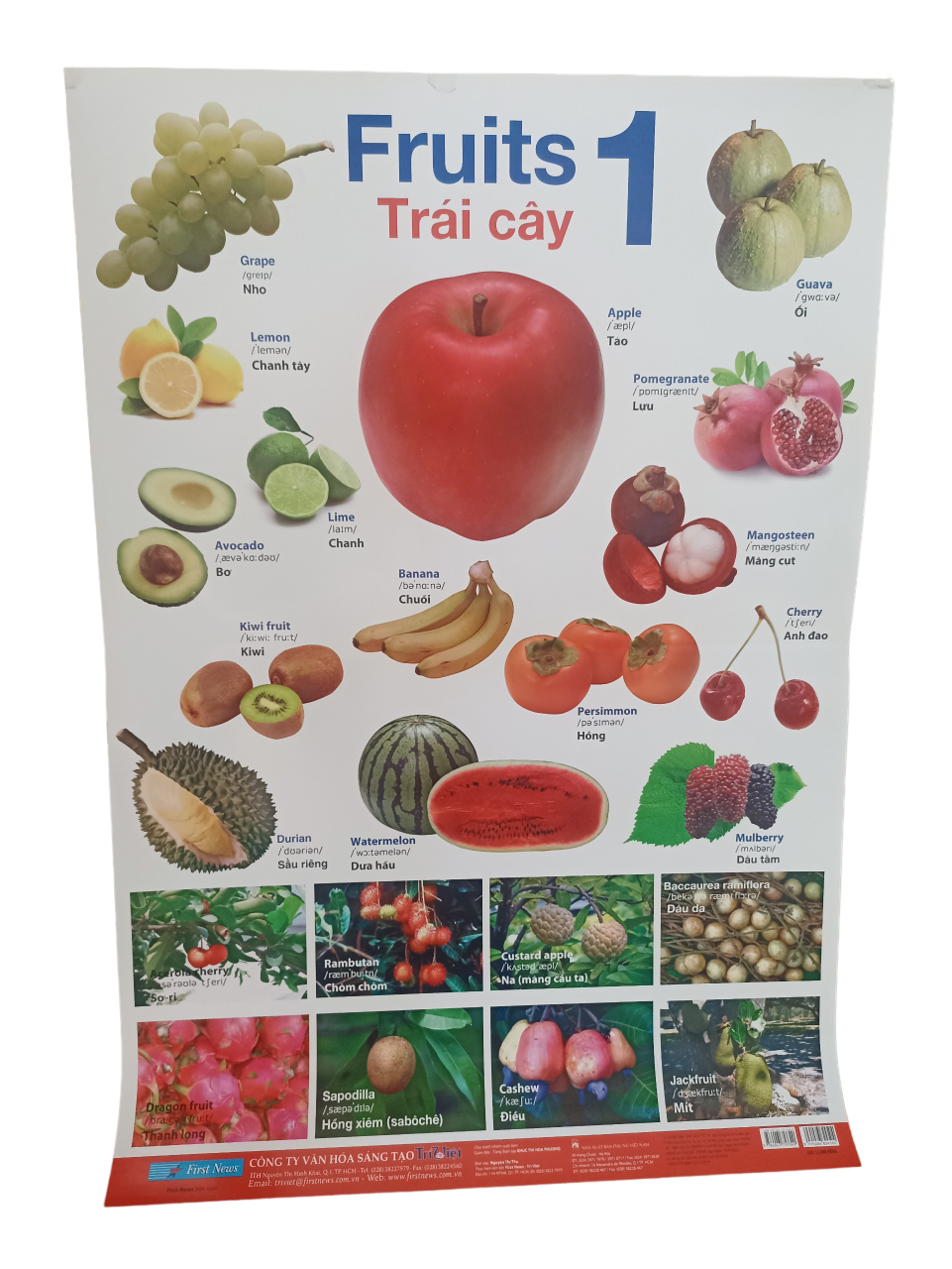 POSTER Lớn - Trái Cây 1