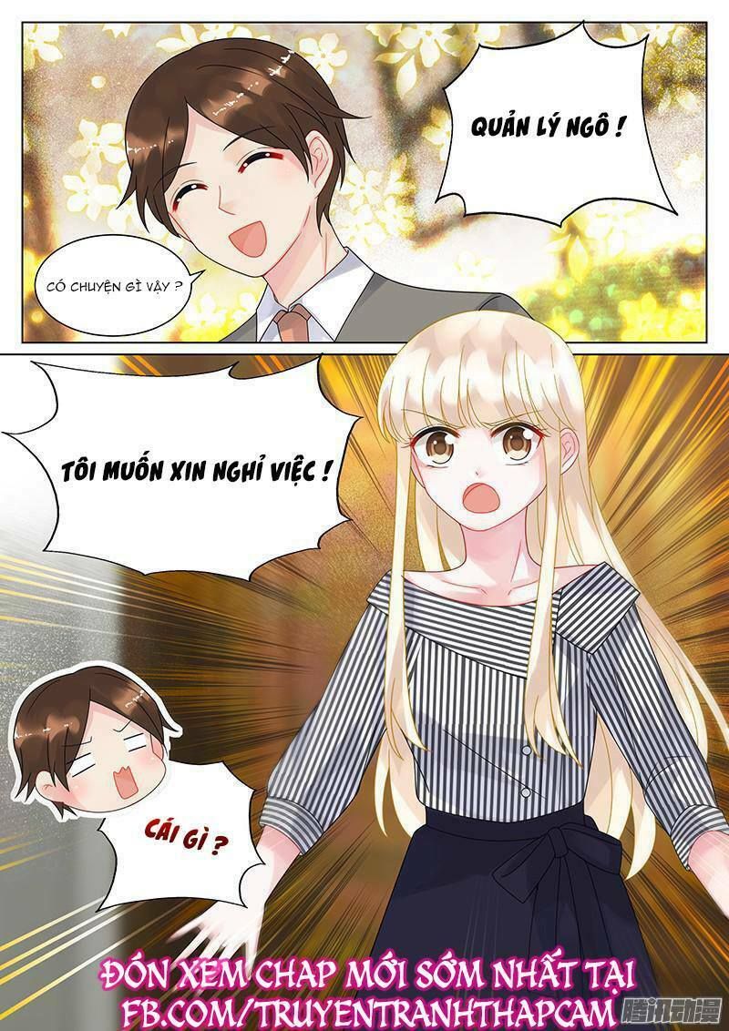 nhạ thượng thủ tịch tổng tài chapter 47 8