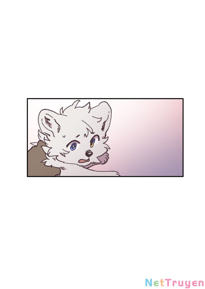 lumine - cội nguồn ánh sáng chapter 82 1