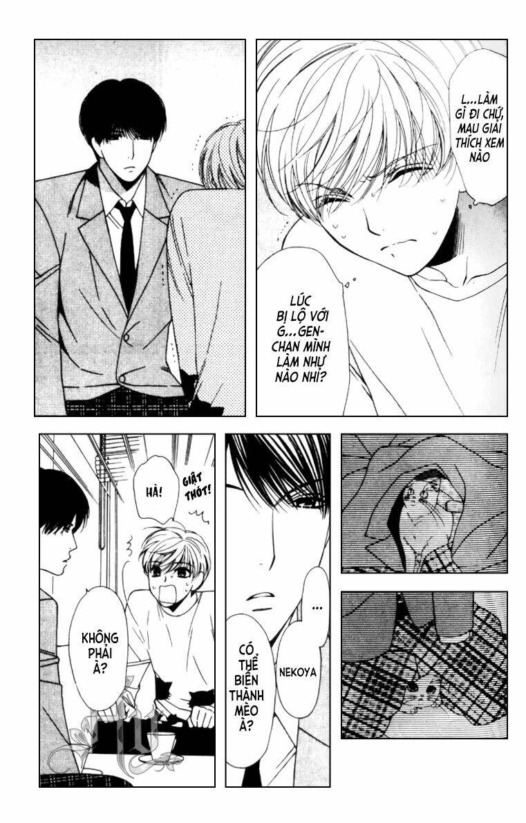 neko neko honey chapter 5 6